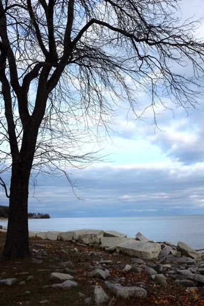 Large slabs of rock line the shore of Lake Michigan. A tree is on the left. Heavy clouds are in the sky, with a patch of blue sky in the center.