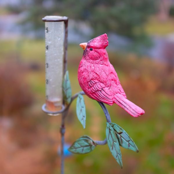 Close-up view of a rain gauge. A little under an inch of water is in the gauge. The gauge is on a decorative metal support that includes a painted sculpture of a cardinal bird, and green leaves.
