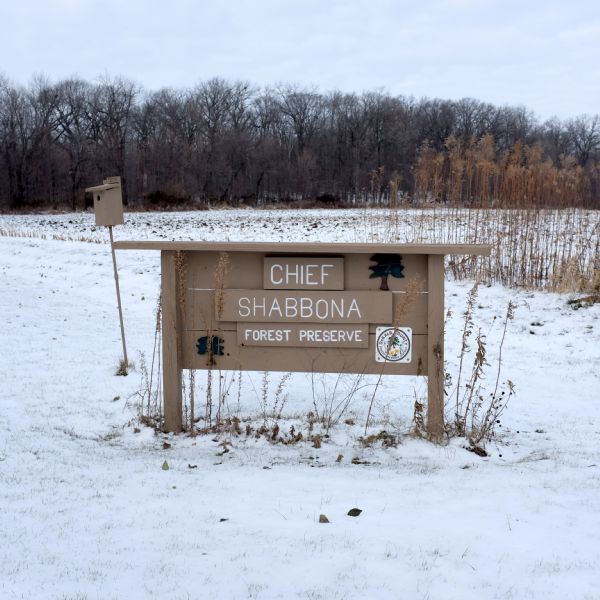 A wooden sign sitting in a snow-covered field which reads: "Chief Shabbona Forest Preserve." It includes two images of trees, and on the bottom right is the seal of the Dekalb County forest preserve district. A birdhouse is just behind the sign on the left. In the background is a forest.