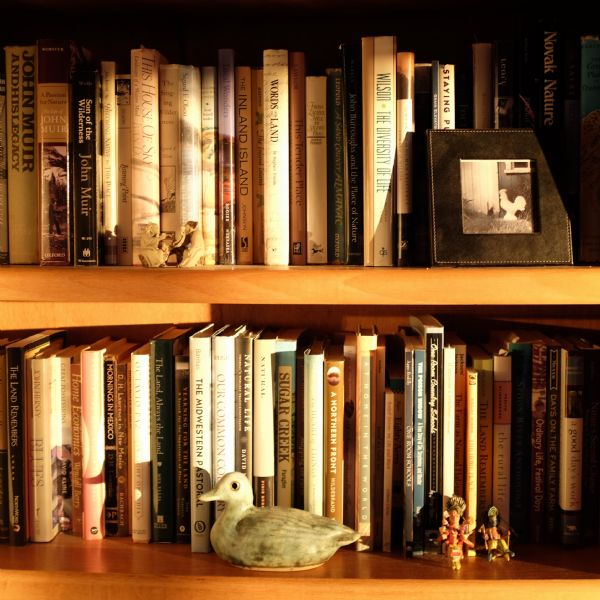 View of a bookshelf with two shelved filled with books. Along the shelves in front of the books are figurine of two men drinking tea, a clay duck, two figures of Hindu or Buddhist gods, and a photograph of a giant chicken statue outside of a barn. The books displayed cover subjects such as nature, John Muir, philosophy, and rural life.