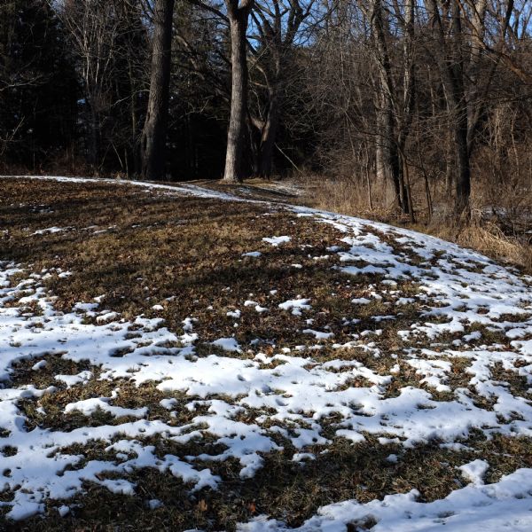 Small patches of snow are covering the grass and dead leaves on an American Indian effigy mound. Trees are in the background.