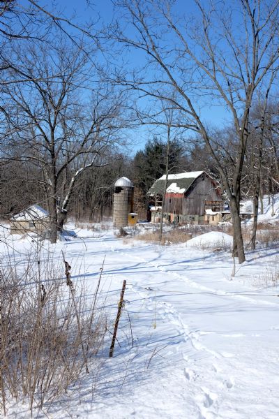 View across fence towards a ruined barn and silo sitting in a small clearing surrounded by trees. Snow is on the ground.