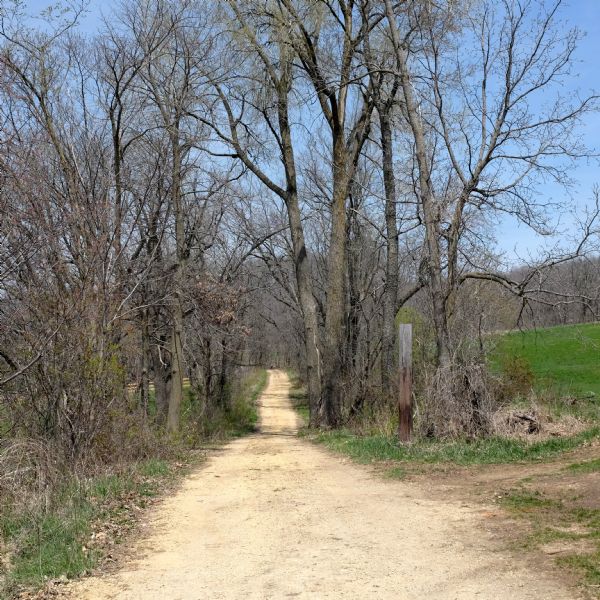 View down a gravel path leading into a forest. The trees are bare of leaves, but the grass is green. A wood marker is at the intersection of a dirt path on the right where it meets the gravel path.
