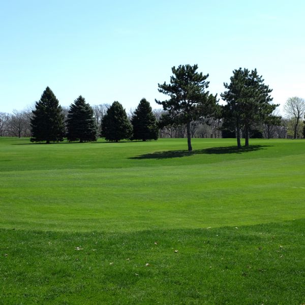 View across the greens of an empty golf course. On the other side of the fairway are groups of evergreens. A row of dense, leafless trees marks the edge of the course in the background.