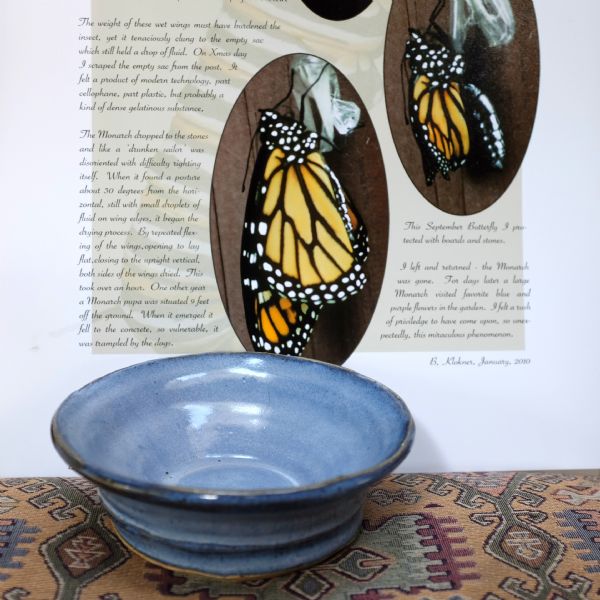 View of a blue ceramic bowl sitting on an ornately decorated cloth. Behind it is a poster or page from a book with two photographs of a monarch butterfly emerging from a cocoon, with text describing the event. The text is signed: "B. Klokner, January 2010."