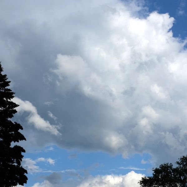 View of clouds in the sky. Silhouetted trees are on the left and right.