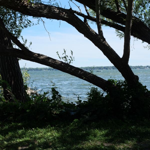 View from shoreline of trees in silhouette growing along the shore of Lake Monona. A motor boat is far out on the lake. Homes and buildings are along the far, tree-lined shoreline.