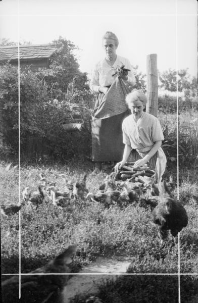 Cora Judkins, standing, and an unidentified woman sitting on the ground, are holding ears of multicolored corn in their aprons as poults and a hen are gathering around them. There is a wire fence behind them and a shed with a wood shingled roof is in the background, on the left. There is a metal hanger on the fence which is holding stacked metal cones, possibly plant protectors.