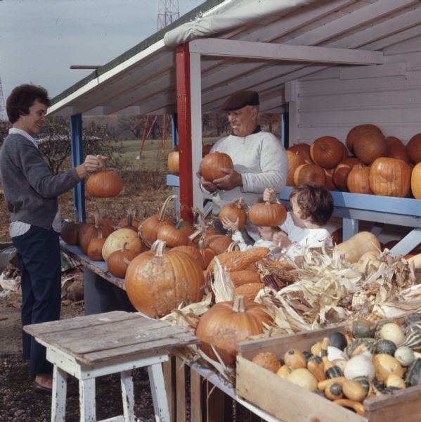 Two adults and two children are standing around an outdoor farm stand with pumpkins, Indian corn, and gourds for sale. Each person is holding a pumpkin. The elderly man in the center has a cigar in his mouth.