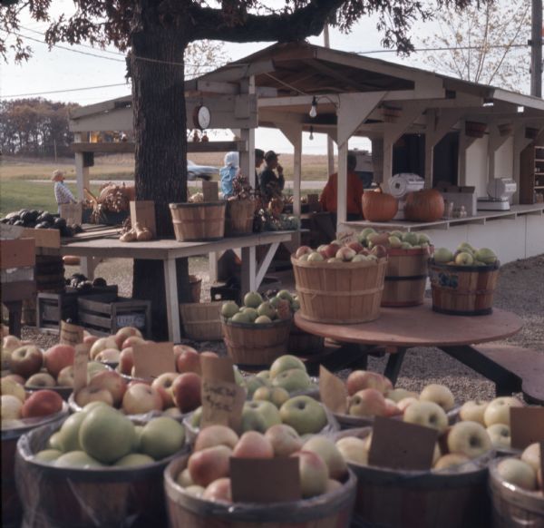 Bushel baskets of apples on display at a farm stand. Gourds, squash and pumpkins are sitting on a table built around a tree. People are standing in or around the open sided stand in the background. An automobile is traveling on the road in the background.