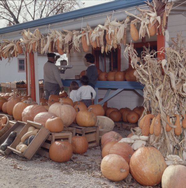 Pumpkins, gourds and Indian corn on display at a farm stand. A womand and two children are standing near a man who is weighing produce on a scale under a roof.