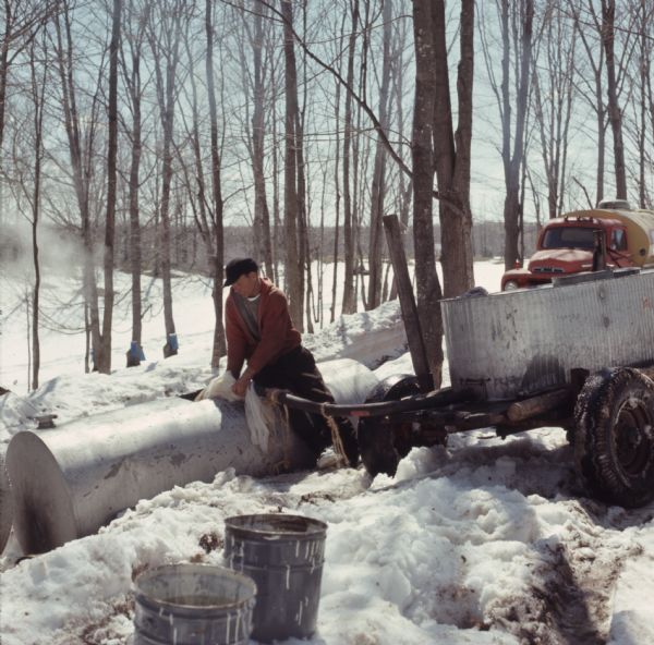 A man is sitting on a large metal cylinder storage tank while piping maple sap from a metal trough on a wagon into the tank. Sap bags are on trees in the background. There is a truck behind the wagon.