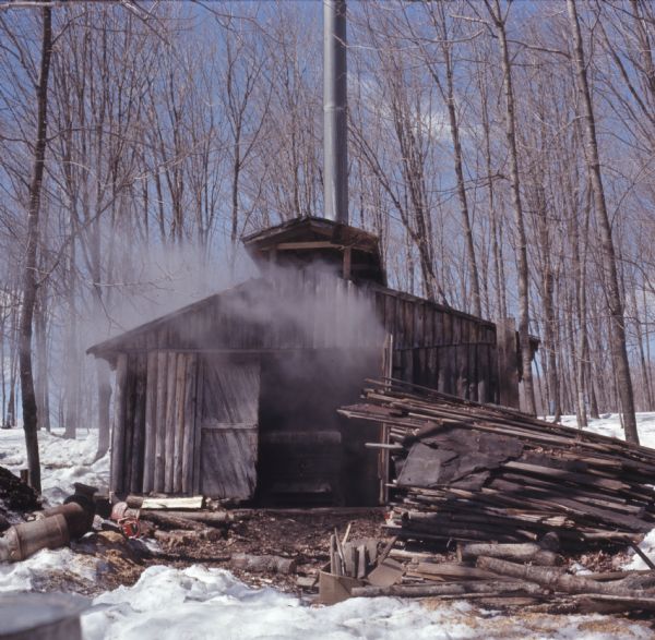 View uphill towards a sugar house, constructed of vertical logs, with a tall, metal chimney at the back. Smoke is coming out of the partially open double door. There are piles of logs, wood, and cans in the foreground. Snow is on the ground.