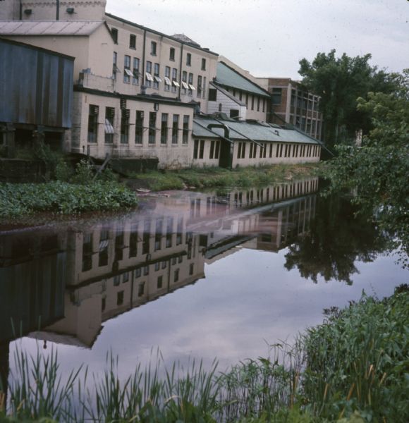 View across canal towards the back of the Portage Hosiery. Reeds and trees are along the edge of the canal. Red and pink colored liquid is floating on the surface of the water near the building.