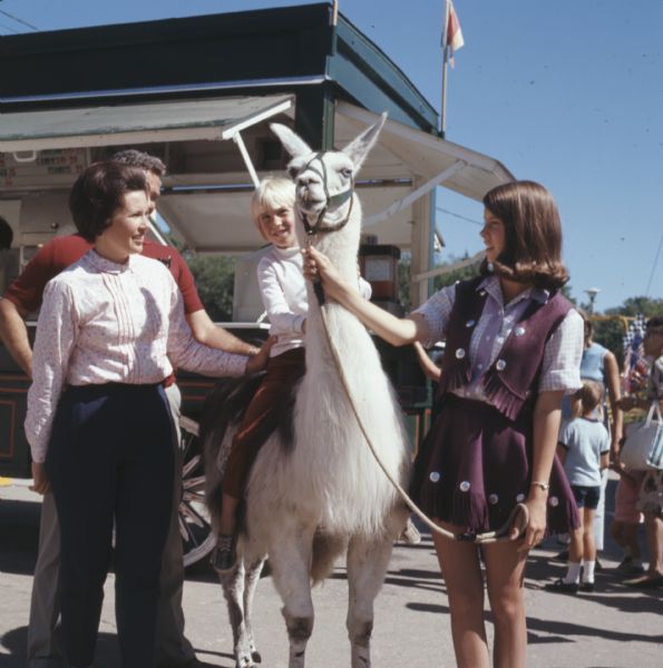 A man and woman are standing near a child riding a llama, with a young girl on the right standing and holding the llama's lead. In the background, people are standing near a concession stand.