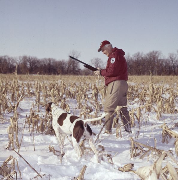 Governor Warren Perley Knowles, 37th Governor of Wisconsin, standing in a snowy cornfield. He is holding a hunting rifle, and a dog on the left is pointing.