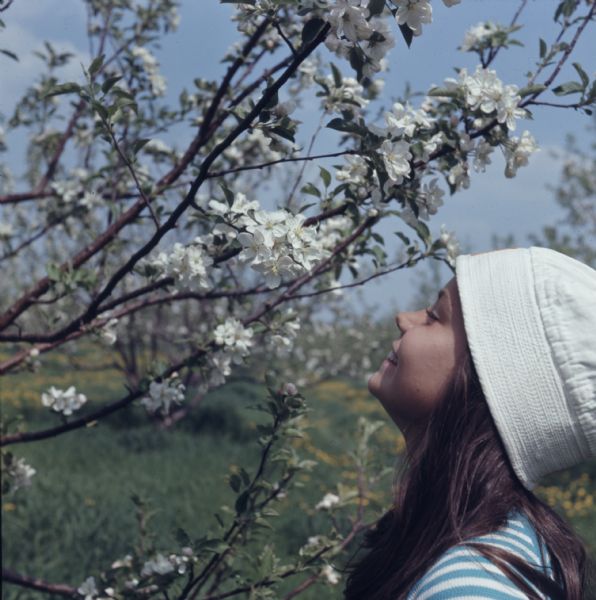 A young girl in a white cap is looking up at white apple blossoms.
