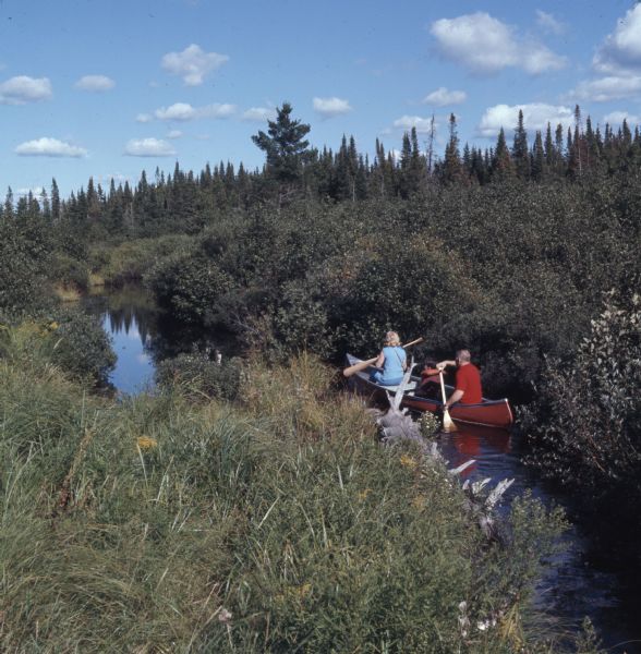 A family of three are canoeing down the Brule River. Bushes and tall grass are along the shoreline, and trees are in the background.