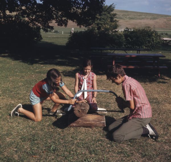 Two children are kneeling while sawing a log of wood with a hand saw, while a third child is watching in the center. Behind them are picnic tables in the shade of trees.