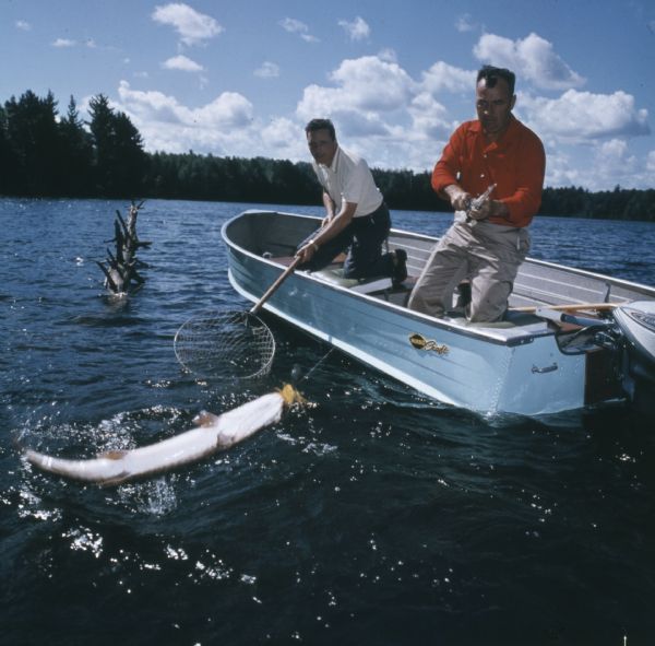 Two men fishing are kneeling on boat cushions in a small boat on Little Bass Lake. One of the men is reeling in a muskellunge (musky) while the other man is holding a net ready to help catch the fish. 