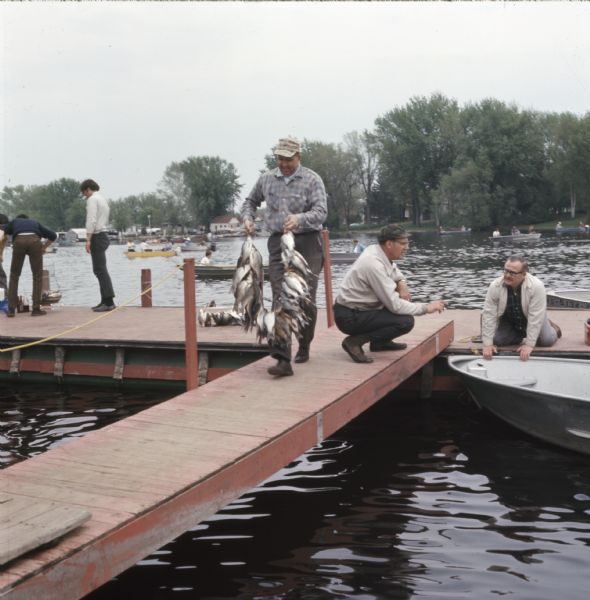 A man is walking down a dock holding a large string of white bass. Other men are standing or kneeling on the dock behind him.
