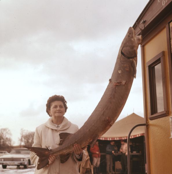 A woman is posing outdoors while holding up the tail of a large sturgeon hanging from a hook. Behind her people are standing under a tent.