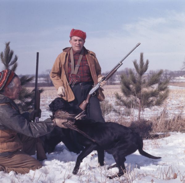 Two men holding rifles with two black labs in a field. The man on the right is kneeling in the snow and holding a pheasant which one of the dogs is carrying in his mouth.