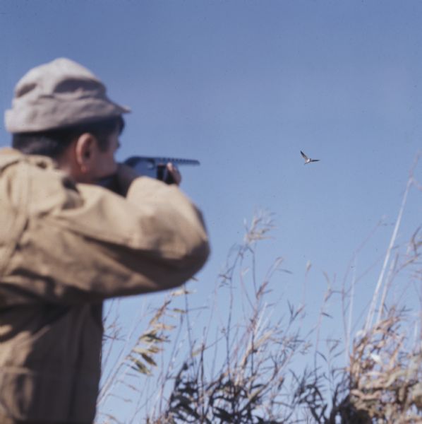 A hunter is pointing his rifle into the sky and aiming for a goose flying overhead.