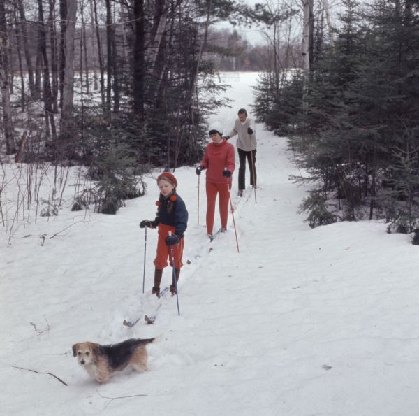 A family, man, woman and child, are cross country skiing through trees. A small dog is walking in front of them.