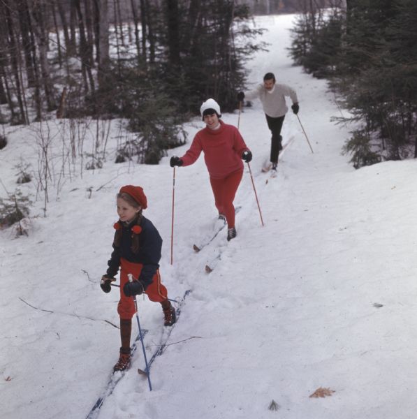 Slightly elevated view of a family, man, woman and child, cross country skiing through trees.