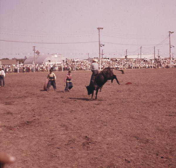 A crowd of people in the background behind a fence are watching a man bull riding at the Spooner Rodeo. Two rodeo clowns are moving in front of the bull.