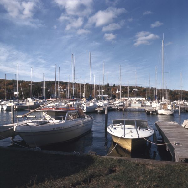 View from shoreline towards motorboats and sailboats docked in a marina. In the distance are buildings on a hill among trees.
