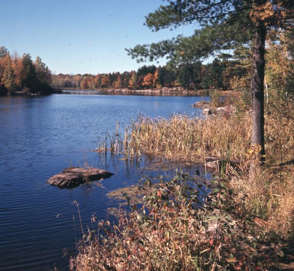 View of marshy area along Keller Lake in the autumn.