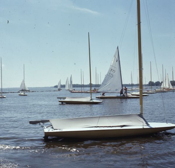 View across water towards sailboats docked in the Pioneer Marina. A tree-lined shoreline is in the distance.