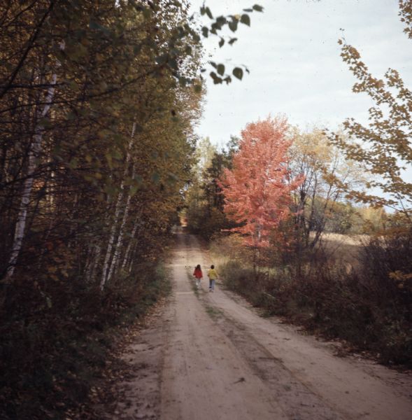 Two people are walking down a dirt path lined with trees turning fall colors.