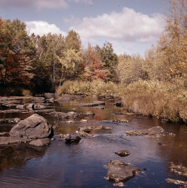 View of Mills Creek in the autumn.