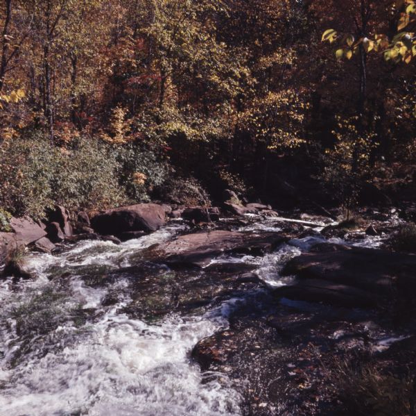 View of rapids on Pigeon River in the autumn.
