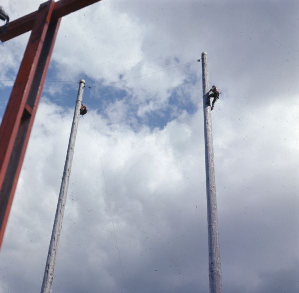 Two people are climbing two tall wooden poles at Lumberjack Days.