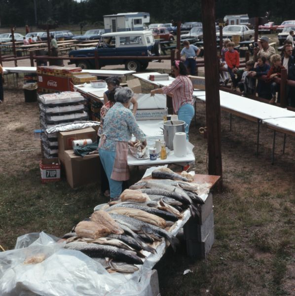 Elevated view of four women setting up tables at the Musky Jamboree, preparing to cook and serve over one thousand pounds of musky. Men and boys are watching the women work from behind a wood fence.