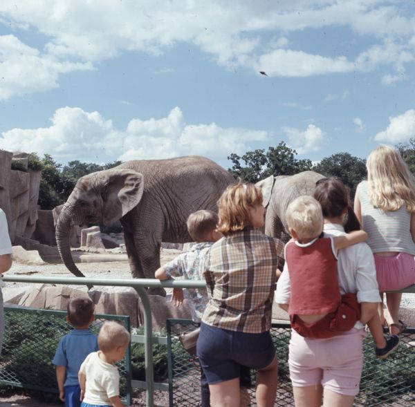 Two women and five children are leaning on or sitting on a railing watching the elephants at the zoo.