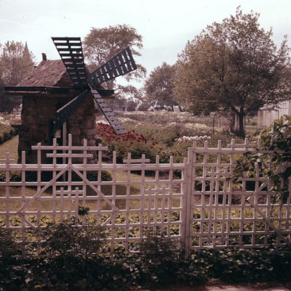 View across fence towards a small brick decorative windmill sitting in a fenced peony garden.