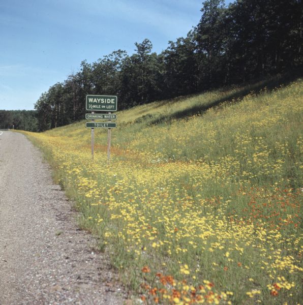 View along side of the road towards yellow and orange flowers growing up the hill on the right. Trees are along the top of the slope. A sign reads: "Wayside 1/2 mile on left. Drinking water. Toilet."