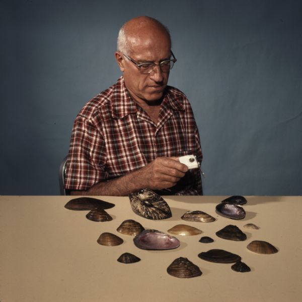 A man is sitting at a table and holding a box in his hand with a small shell in it. In front of him on the table is a display of shells.