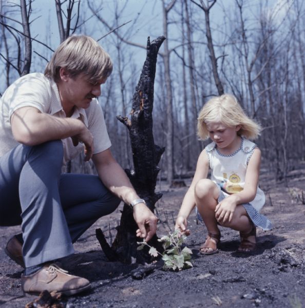 A father (Mr. Carlsen) and his daughter (Lisa) are kneeling on the scorched ground next to a burned tree trunk. They are touching and looking at a small green plant growing out of the ground.