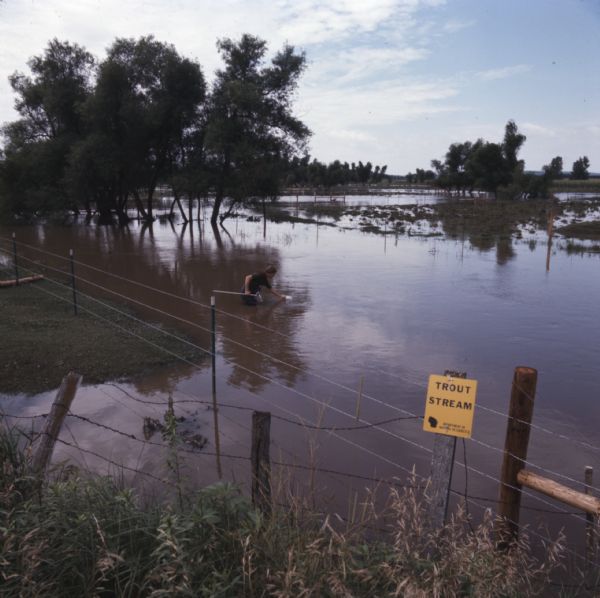 View from shoreline looking through fences towards a man standing in knee-deep water holding a net and scooping water into a bucket. Patches of land and trees are above the flooded fields. A yellow sign near the bottom right reads: "Trout Stream. Department of Natural Resources."
