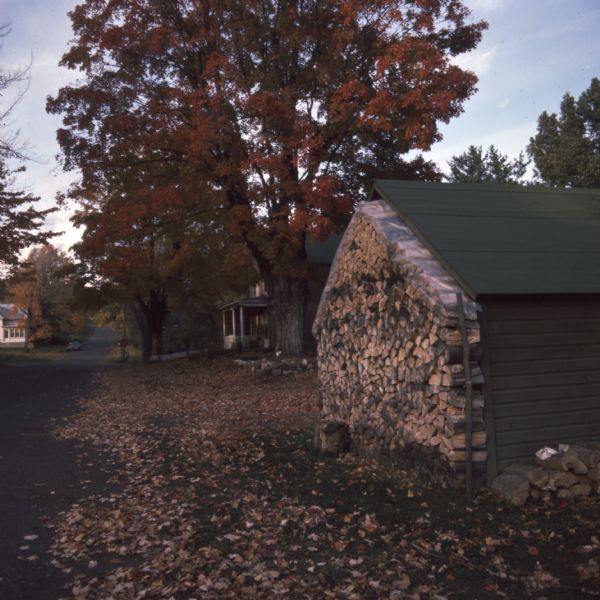 A stack of firewood, covered at the top with plastic, is against the exterior wall of a small wood building. In the background is a tree with red leaves in fall color in front of a house. A road is on the left.
