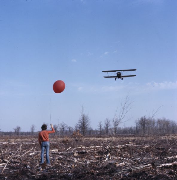 A person is standing in the middle of a field covered with downed tree branches holding a red balloon to guide the airplane flying towards him. The plane is dropping tree seeds onto the ground.