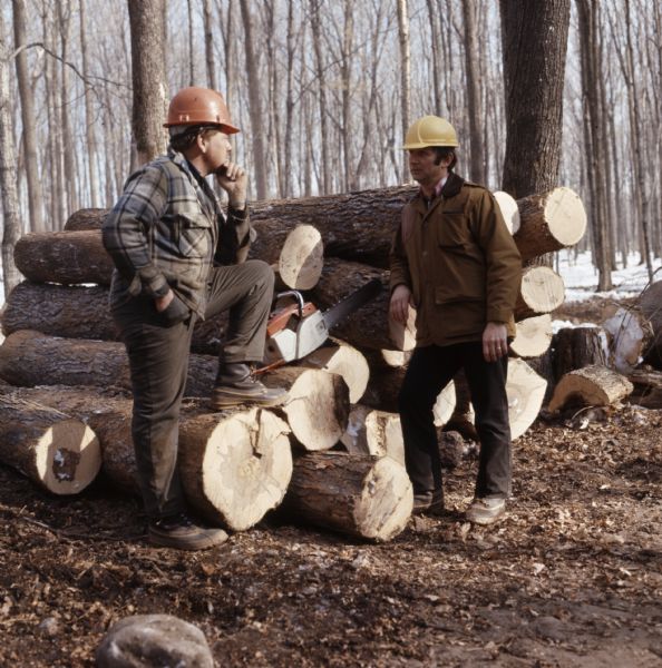 Two men are standing in a forest wearing hard hats. The man on the left is bracing a foot on a cut logs, near a chainsaw resting on the pile of logs. The man on the right is leaning against the logs.