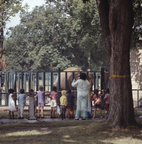 A line of children and one woman are leaning against a fence to look at an elephant at the Milwaukee Zoo.