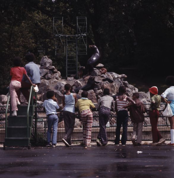 A group of children are leaning on a railing watching the seals playing on a pile of rocks at the zoo.